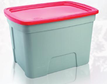 Caja Megaforte rey #110 c/tapa Enganche