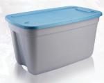 Caja Megaforte rey #180 c/tapa Enganche 